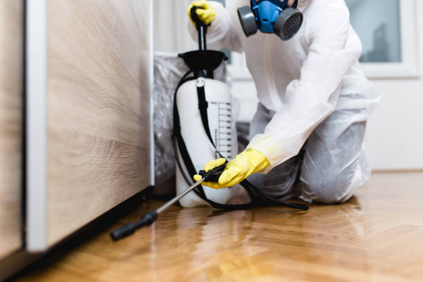 Best Best Pest Control Companies  in Maywood, NJ
