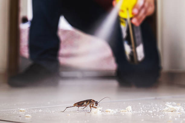 Professional Pest Control in Maywood, NJ